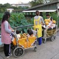 Làm mẹ - Mẫu giáo Nhật làm tôi "choáng váng"