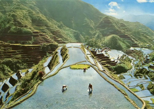 anh "bang chung" cua huyen chip giong het tu... google - 4