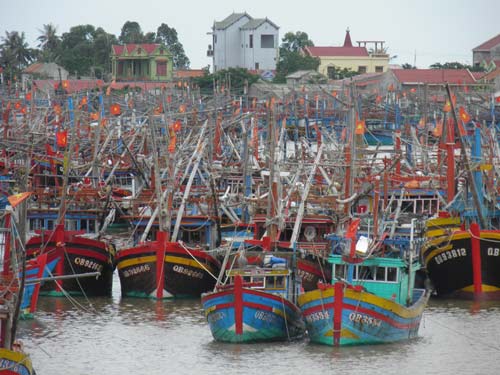 hoc sinh mien trung nghi hoc tranh sieu bao - 1