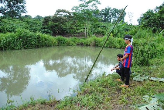 dai tang gia dinh co 3 dua con chet duoi - 3