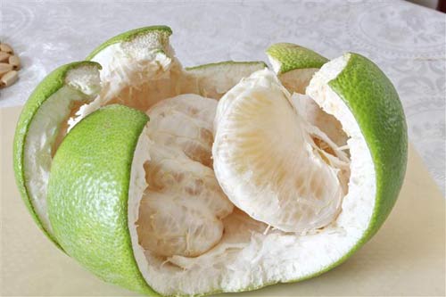 tu lam trang da tu qua co vi chua - 4