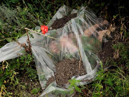 am anh khung canh 'nghia dia mh17' - 6