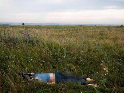 am anh khung canh 'nghia dia mh17' - 9