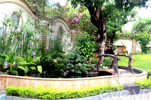600m2 nha vuon dep dang ao uoc o da nang - 6