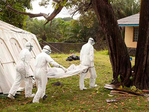 bung phat dich ebola, 729 nguoi tu vong o tay phi - 1