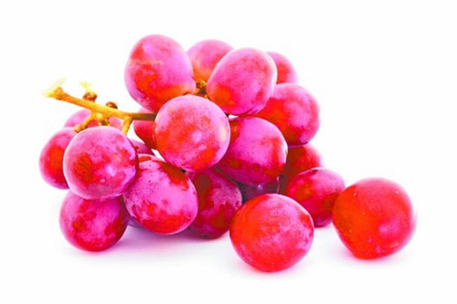 Topics tagged under vitamin on Diễn đàn Tuổi trẻ Việt Nam | 2TVN Forum 1407149105-5