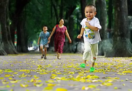 Giá của một đứa trẻ là bao nhiêu?