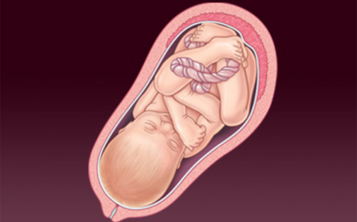 'Rõ từng milimet' quá trình thụ thai - 14
