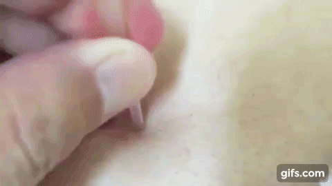 cach lam mun dau den troi len nhu nam nho ruot but bi - 4