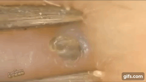 clip nan mun dau den thu hut hang trieu luot xem chi trong mot ngay - 11