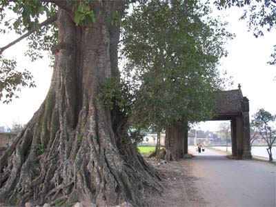 Nhung Cau Hai Huoc Tan Gai