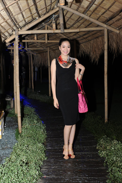 Top 10 mỹ nhân Việt mặc đẹp nhất năm 2010 - 13