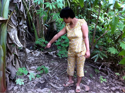 Phẫn uất cháu bé bị anh trai ông nội hiếp dâm - 1