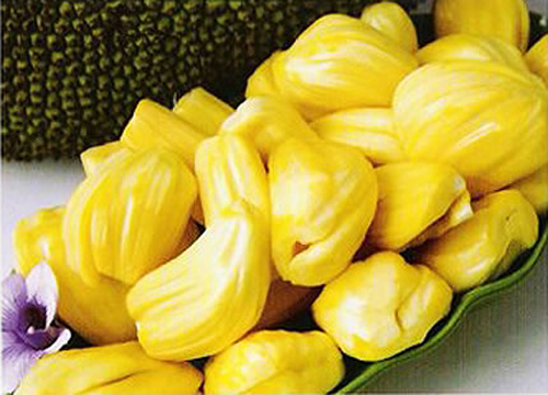 Công dụng chữa bệnh tuyệt vời của mít - 1