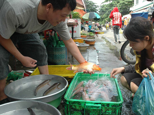 Món ăn bổ dưỡng cho mùa thu - 1