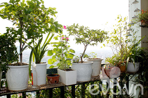 Khoe nhà: Có một nước Nhật trong nhà tôi - 28