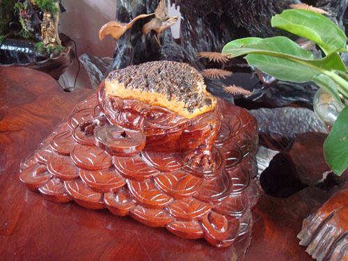 Thú chơi tượng gỗ nghệ thuật đầy thú vị - 3
