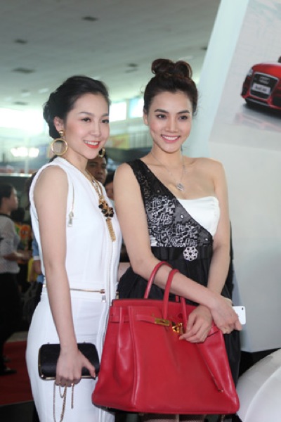 Những chiếc túi được sao Việt ưa chuộng - 9