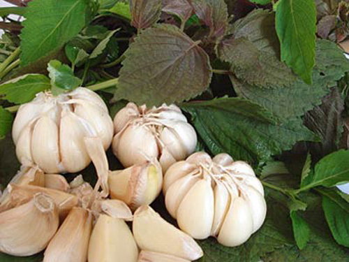 Bài thuốc tuyệt vời từ củ tỏi - 1
