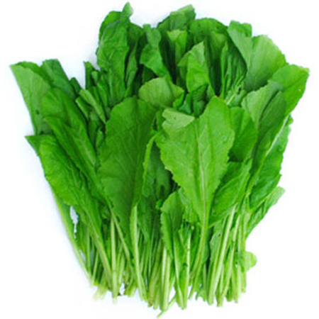 Rau cải thìa xanh mát! - 1