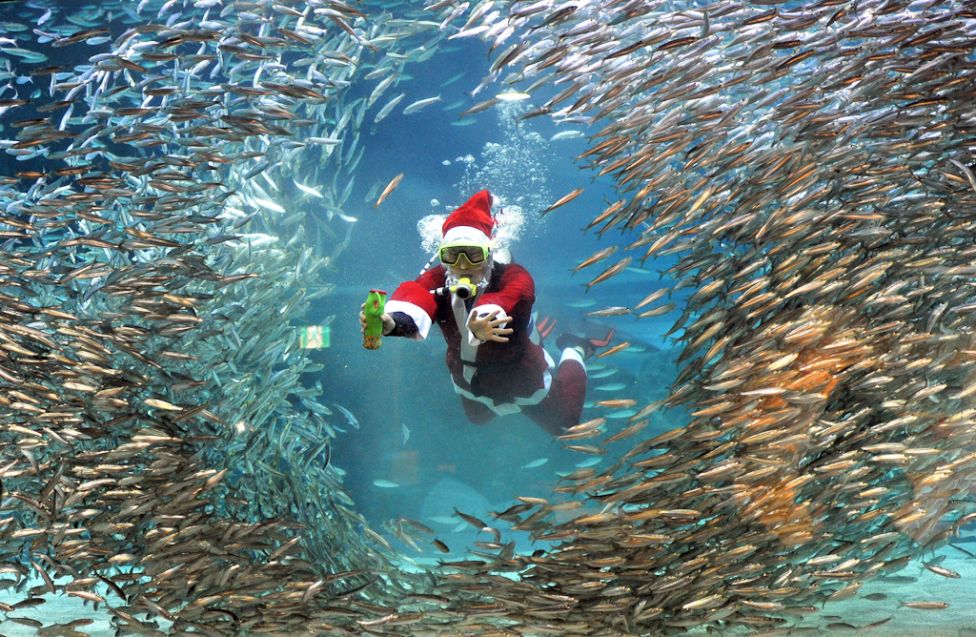 Ảnh: ông già Noel 2011 trên khắp thế giới - 5
