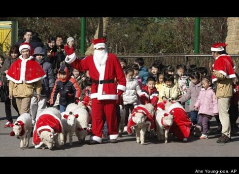 Ảnh: ông già Noel 2011 trên khắp thế giới - 6
