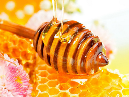 Đừng bỏ qua mật ong khi bầu bí - 1