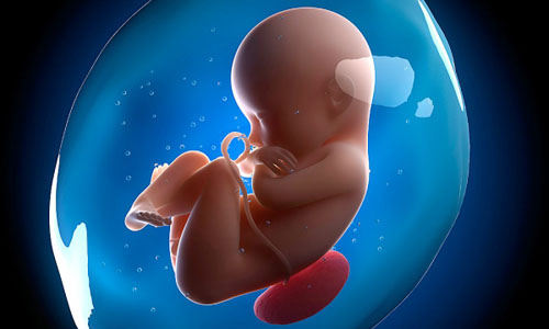 Cân nặng chuẩn của mẹ bầu và bé - 1