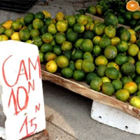 Cam nội liêu xiêu vì cam Trung Quốc