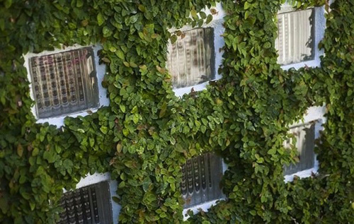 30m2 vẫn đẹp: Hóa ra chẳng khó! - 18