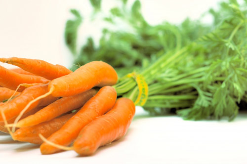 Diệu kỳ củ cà rốt - 1