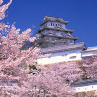 Vẻ đẹp của 'lâu đài hạc trắng' Himeji