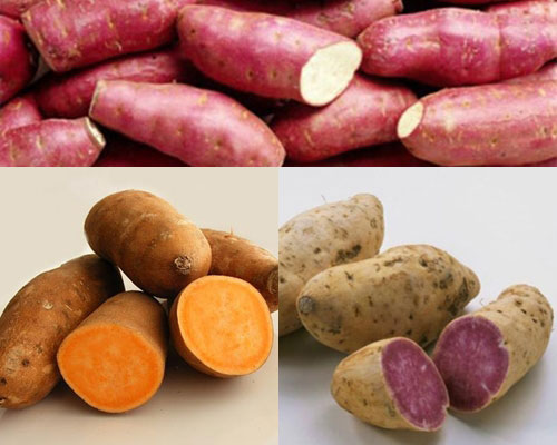 Công dụng chữa bệnh bất ngờ từ khoai lang
