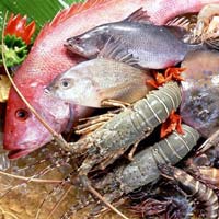 Giá cả thực phẩm chợ Tân Bình 24-2
