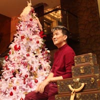 Biệt thự Đàm Vĩnh Hưng lung linh Noel