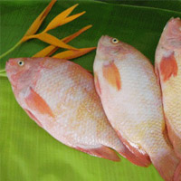 Giá cả thực phẩm chợ Tân Bình 25-2