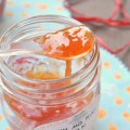 Bếp Eva - Mứt mận đặc sánh, thơm lừng