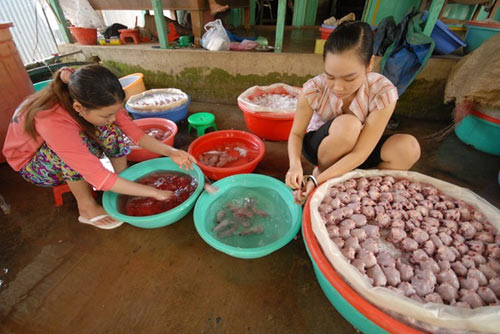 can canh cho chuot beo mam o mien tay - 12