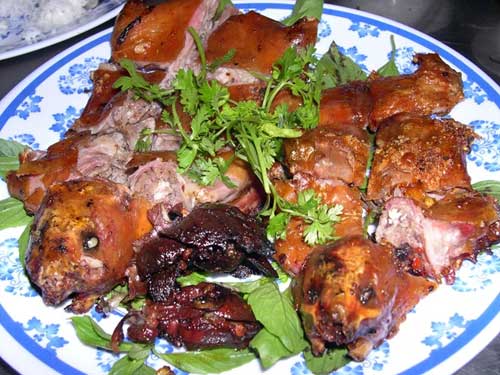 can canh cho chuot beo mam o mien tay - 14