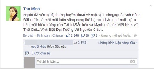 Sao Việt tiếc thương Tướng Giáp - 3