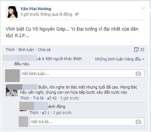 Sao Việt tiếc thương Tướng Giáp - 4