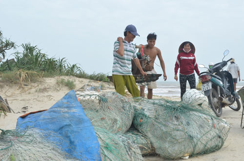 gio bao rat lon o hai phong, quang ninh - 15
