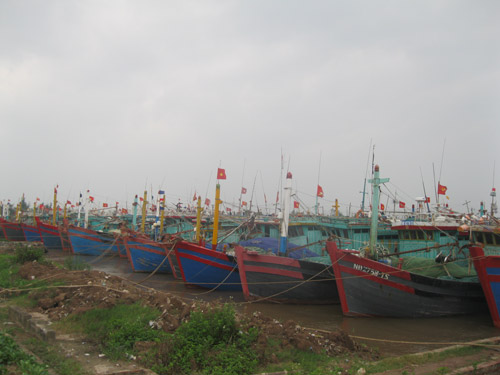 gio bao rat lon o hai phong, quang ninh - 10