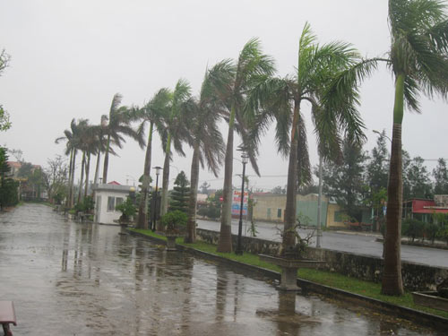 gio bao rat lon o hai phong, quang ninh - 7