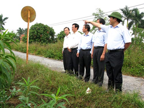 gio bao rat lon o hai phong, quang ninh - 3