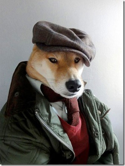 cuoi 'da doi' voi hinh anh doc ve cho - 12