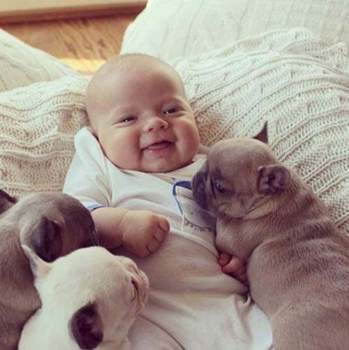cuoi 'da doi' voi hinh anh doc ve cho - 4