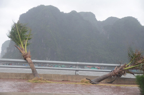 bao haiyan: 3 nguoi mat tich tai quang ninh - 4