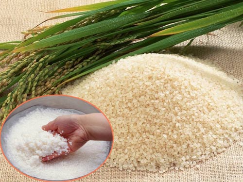 Cung cấp sỉ và lẻ các loại gạo đặc sản