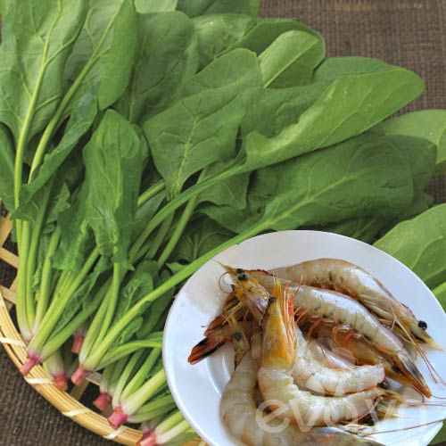 nhung mon me khong-duoc-nau cung nhau - 1
